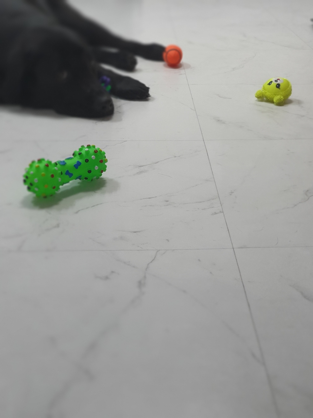 스카치브라이트 리뷰후기