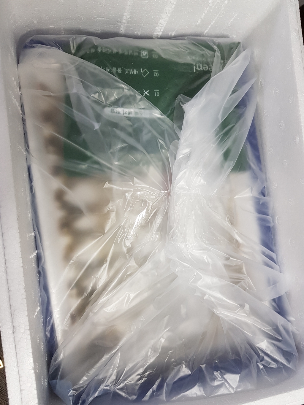 세종푸드시스템 노바시새우 20미