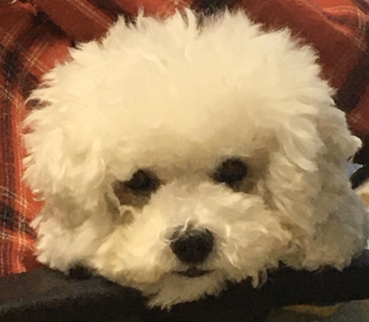 [잼잼아트] 사랑해 하트 사탕봉