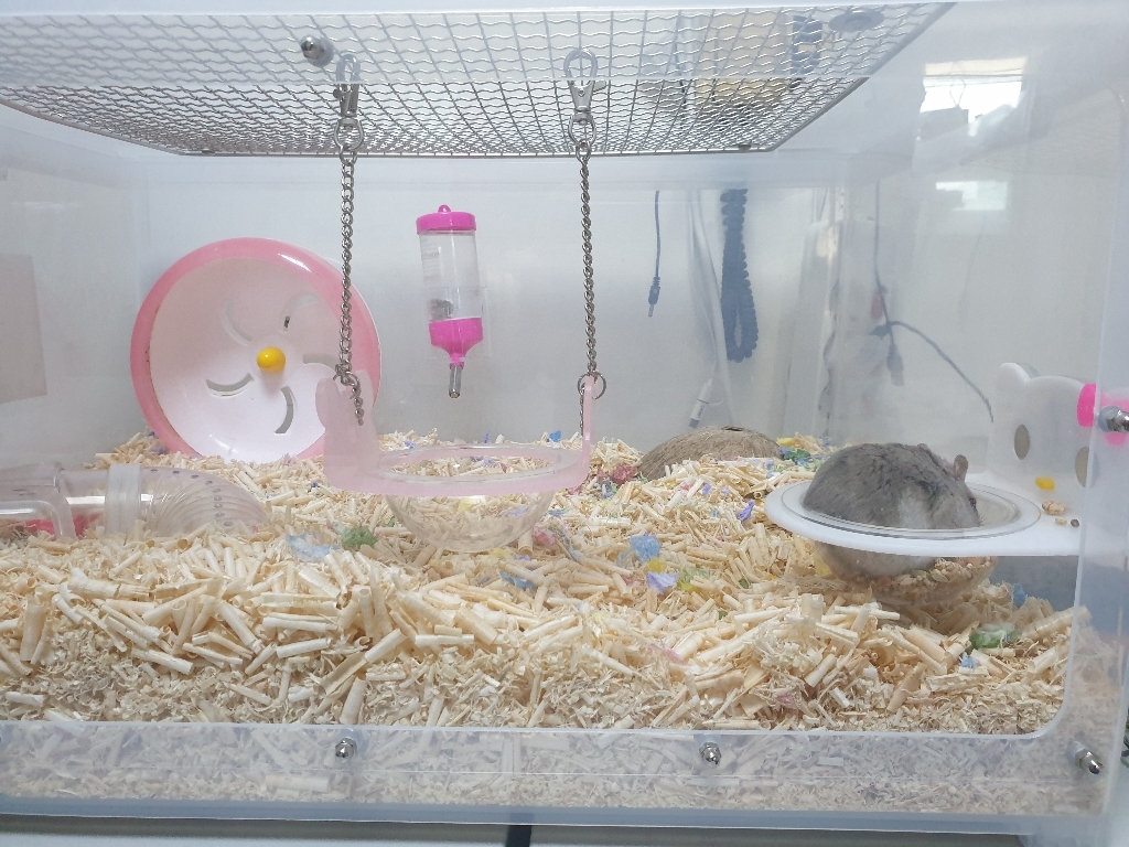 아올로 고양이 아크릴 자석해먹 소