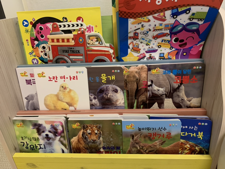 세이펜 통통 자연동화 보드북 20권