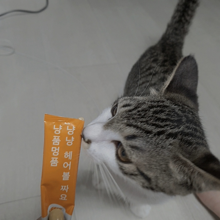 냥품멍품 냥냥 헤어볼 짜요 고양이 간식 참돔살 리뷰후기