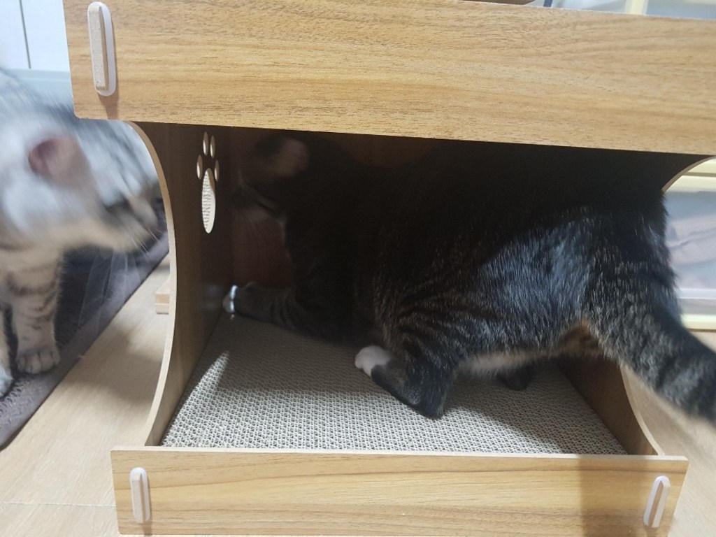 루어캣 스크레쳐 숨숨집 46