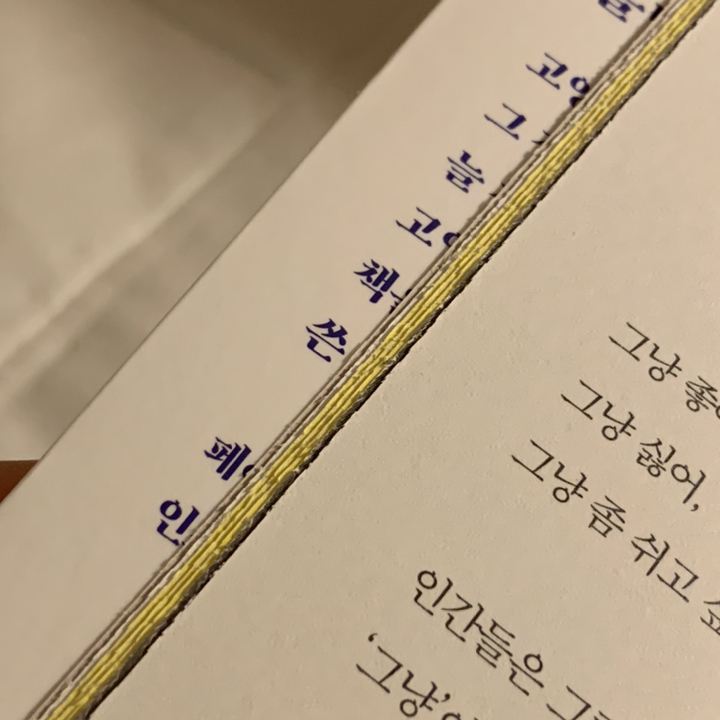 이유가 많으니 그냥이라고 할 수밖에:묘생 9회차 고양이의 인간 상담소