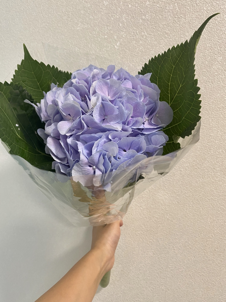 아임플라워 생화 센터피스 수국 리뷰후기