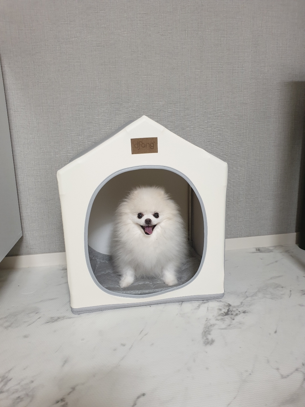 디팡 펫플레이 강아지 하우스 베이직