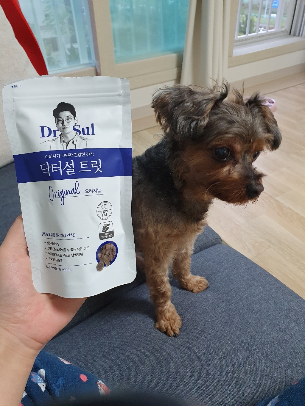 핏펫 닥터설 트릿 강아지간식