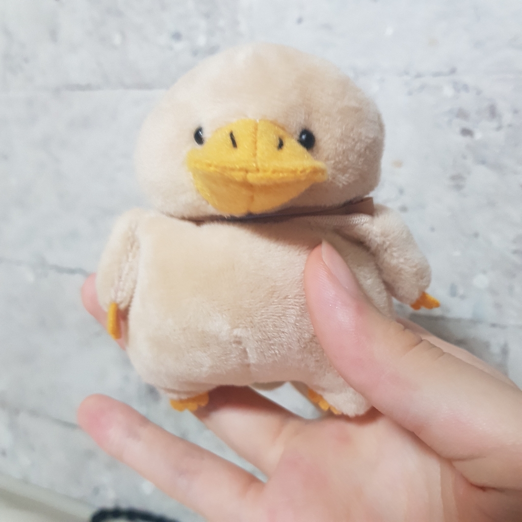 디케이 에어팟 케이스 오리 너구리