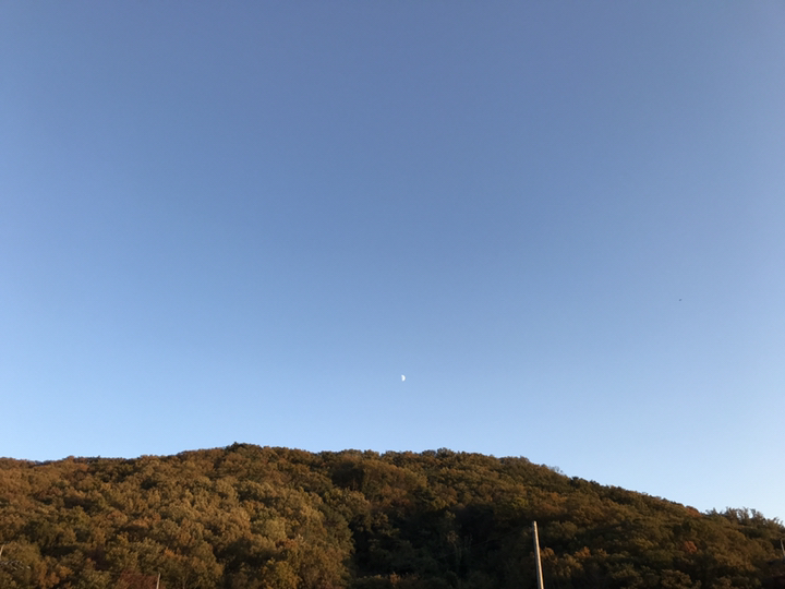 드림아트 리뷰후기