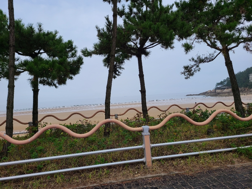 몽피마피 아동 트리니티 반팔