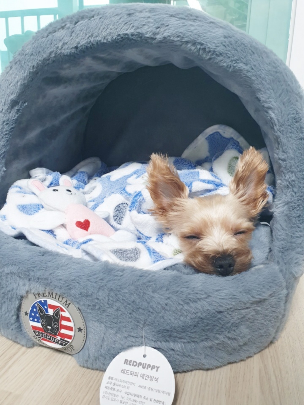 레드퍼피 프랑스 아 클래식 강아지 고양이 하우스
