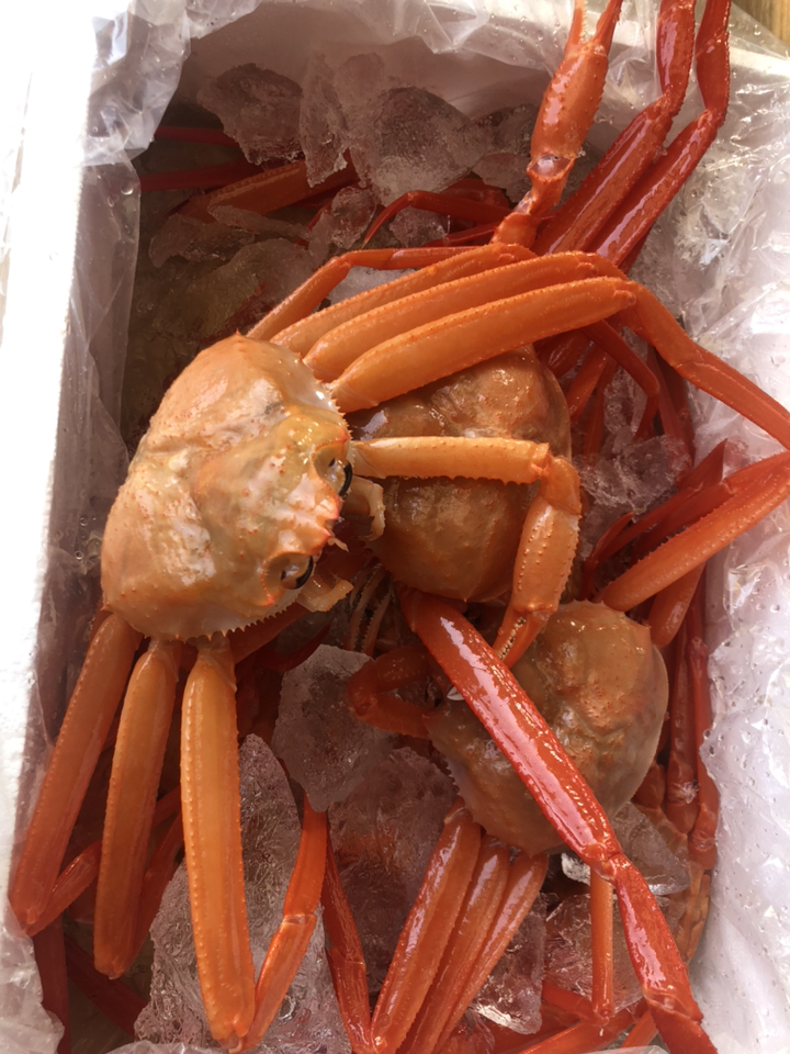 산지 선주직송 일반홍게 마리당 250 리뷰후기