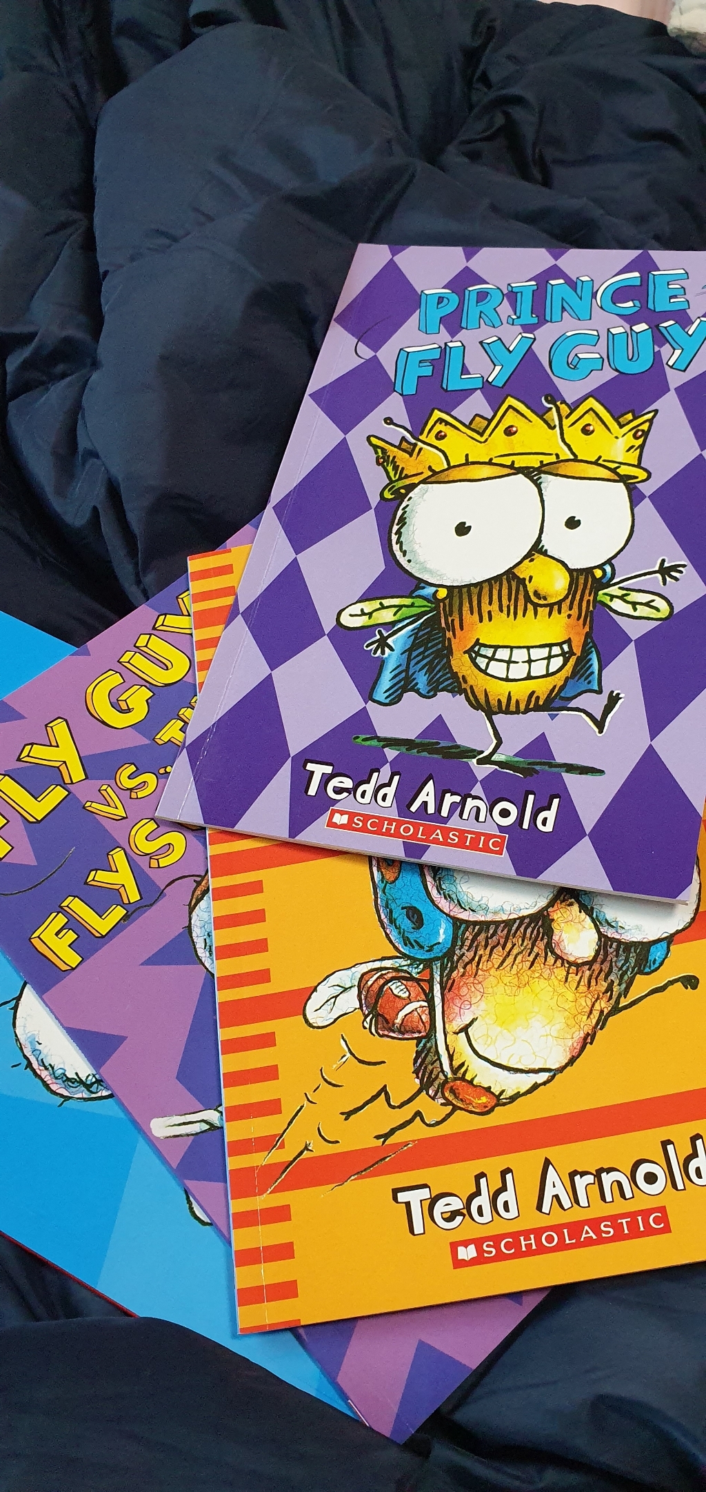 Fy uy and Buzz ea 15 Books Set : 플라이 가이 15권
