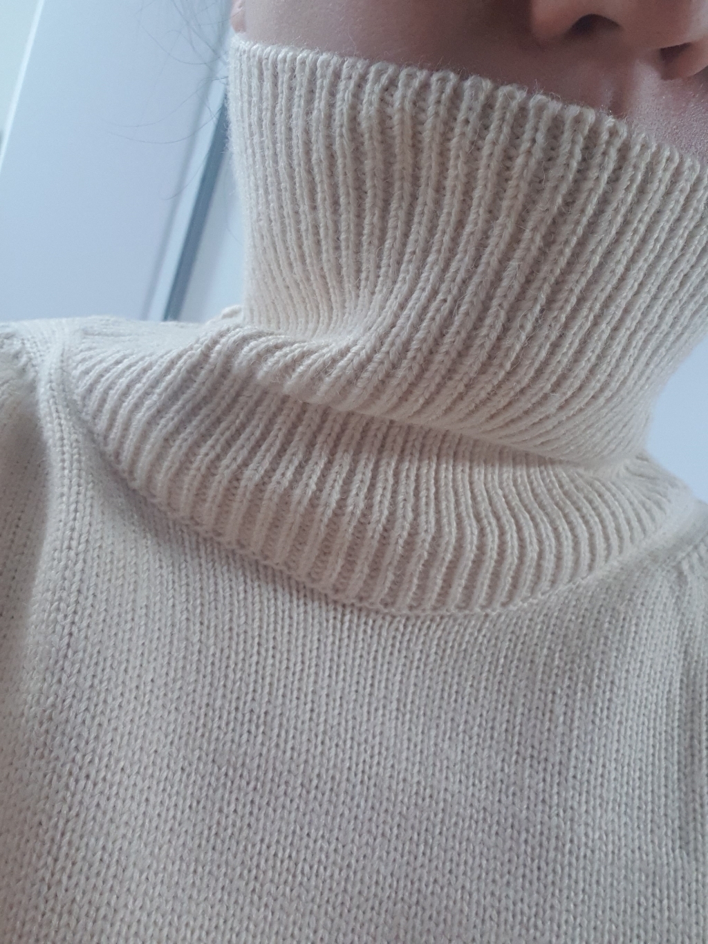 빼빼 여성용 따뜻 터틀넥 폴라 니트티셔츠