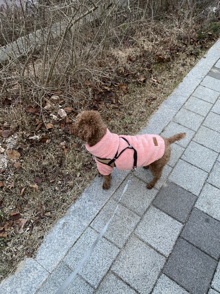 바이담수미 보아털 강아지 후리스 집업