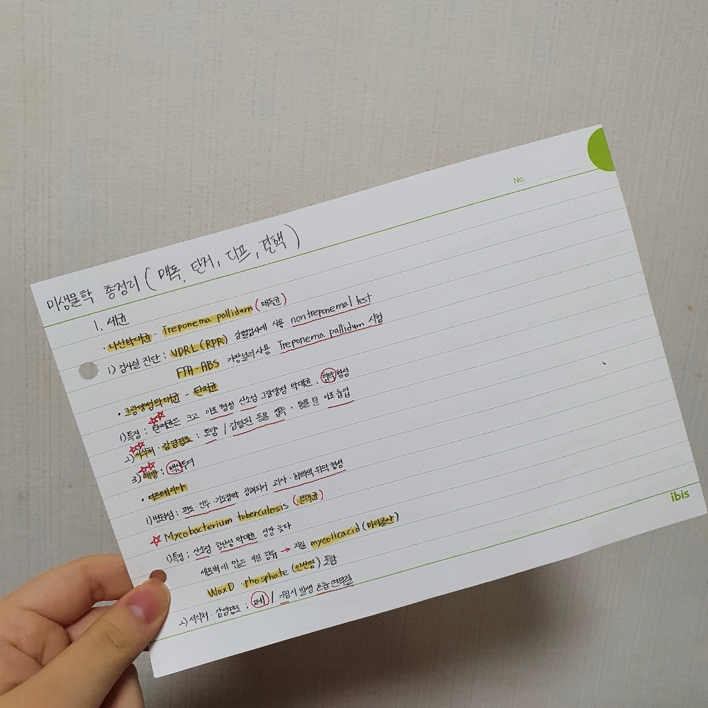 아이비스 메모 카드 A5