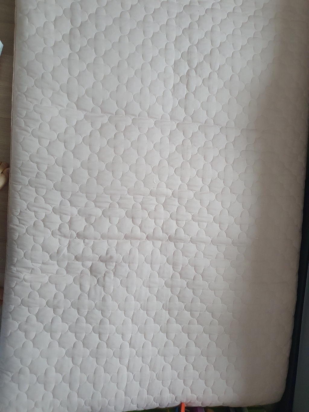 올리비아데코 베리메리 60수 아사 요커버S _ 기능성목화요솜