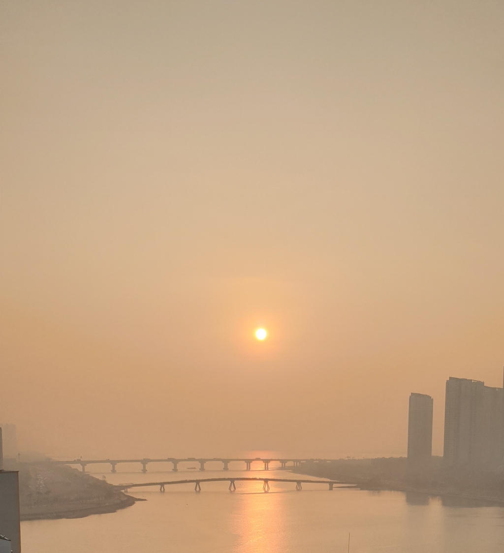 [워나샵] 지오 시보리 조거 팬츠 빅사이즈 츄리닝바지 남녀공용 트레이닝복 운동복 리뷰후기