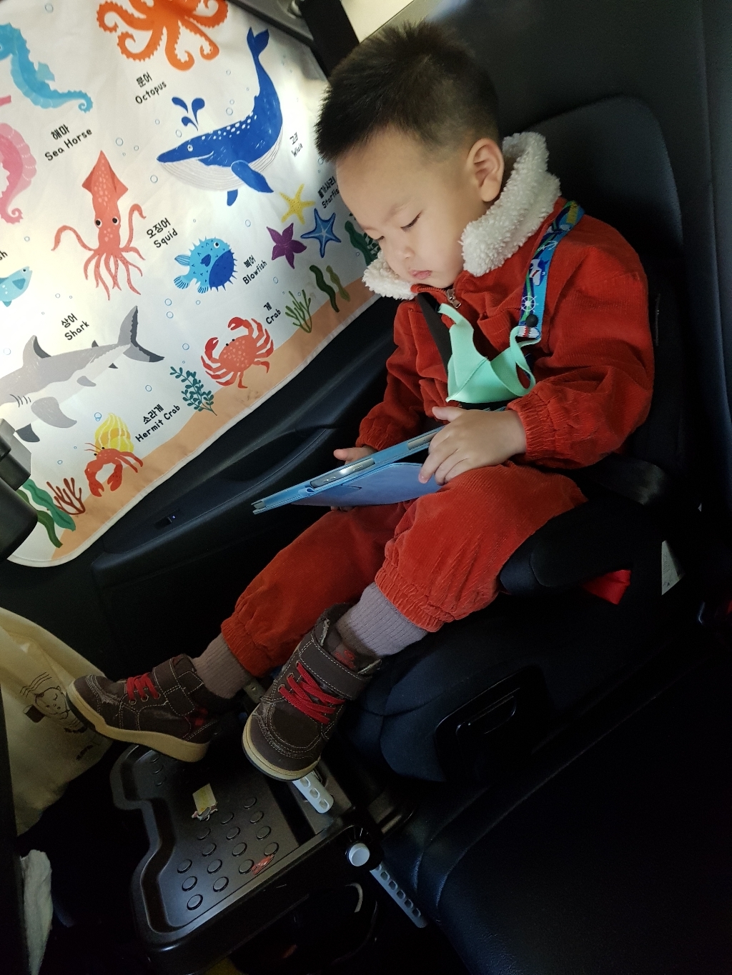 토드비 뉴 코쿤 ISOFIX 부스터 카시트 분리형