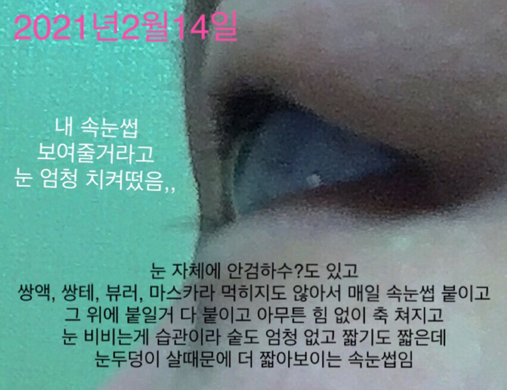 루핀 갈라닉 아이래쉬 에센스 속눈썹 영양제