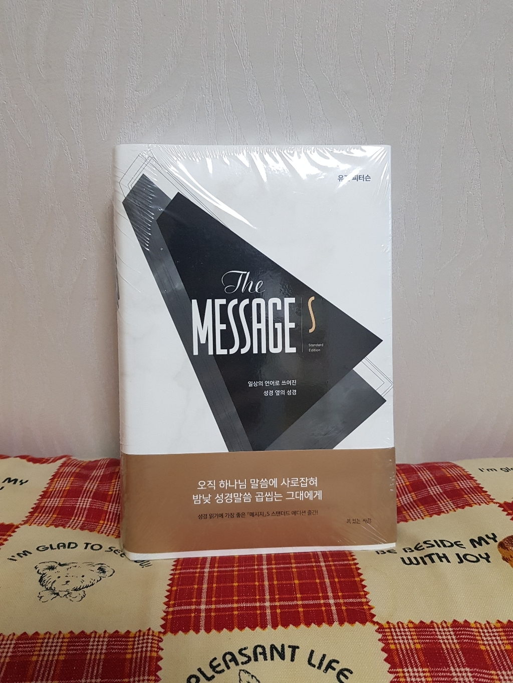 메시지 S:일상의 언어로 쓰여진 성경 옆의 성경