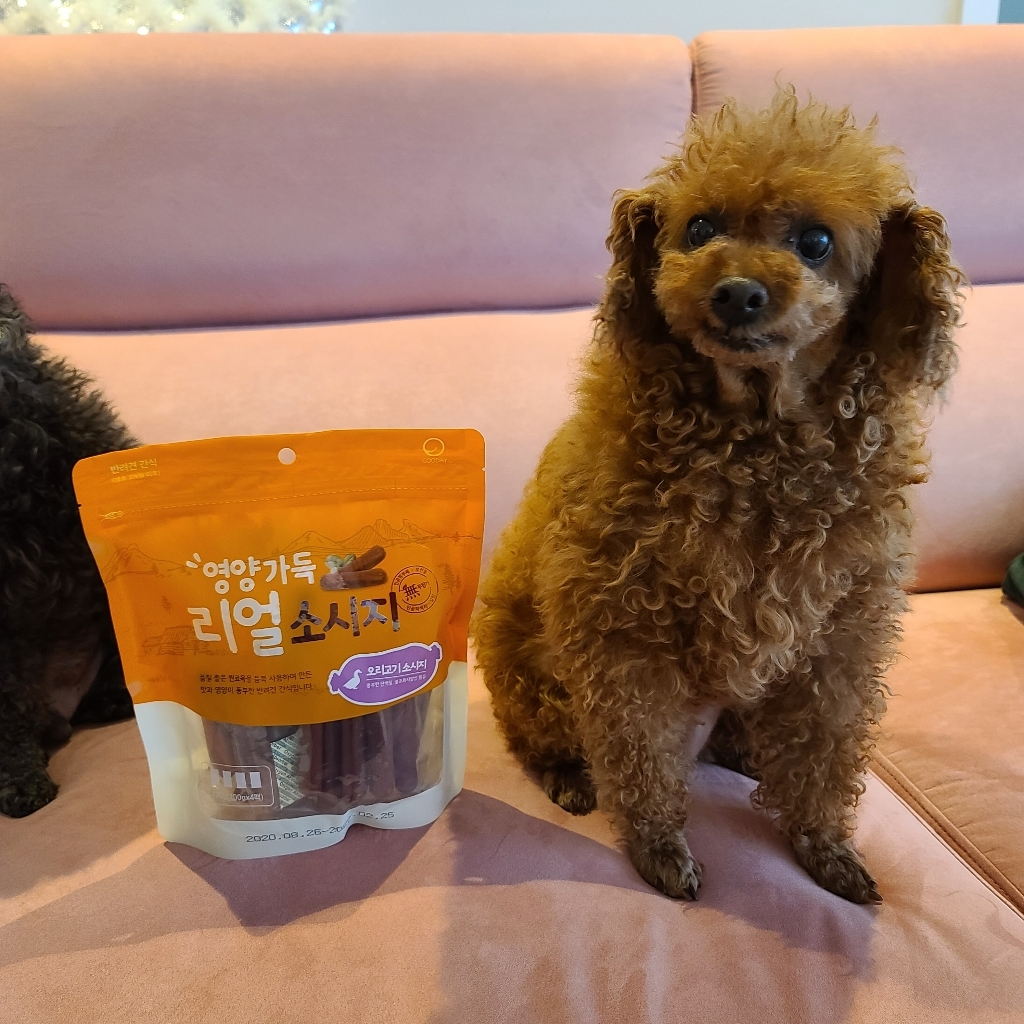 굿데이 영양가득 리얼 소시지 강아지 간식 리뷰후기