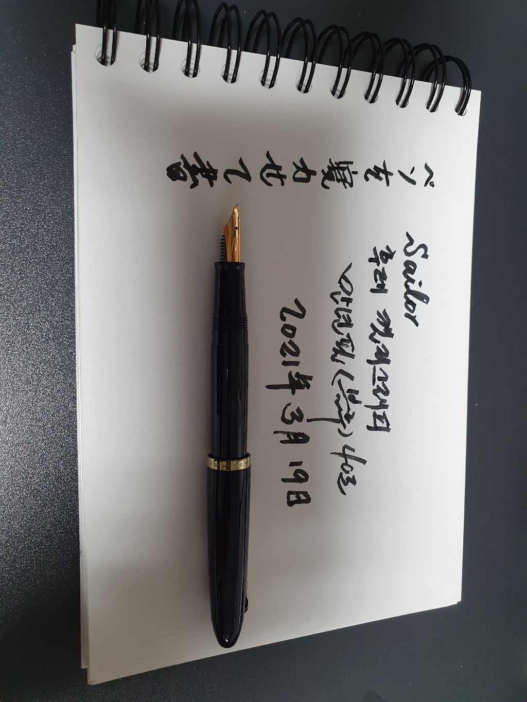 SAIOR 세일러 프로피트 캘리그래피 만년필