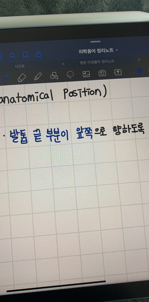 아이펠리 애플펜슬 팁 커버