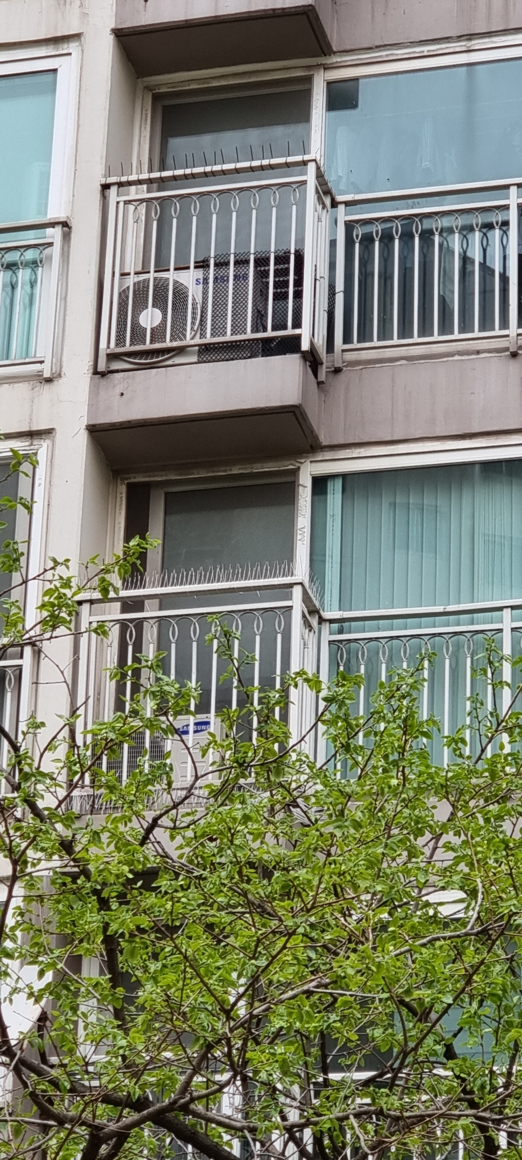 LiDo 비둘기 퇴치 버드스파이크 케이블타이 리뷰후기