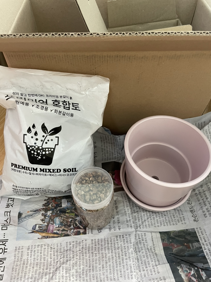 삼유리 간편 분갈이 런던 화분