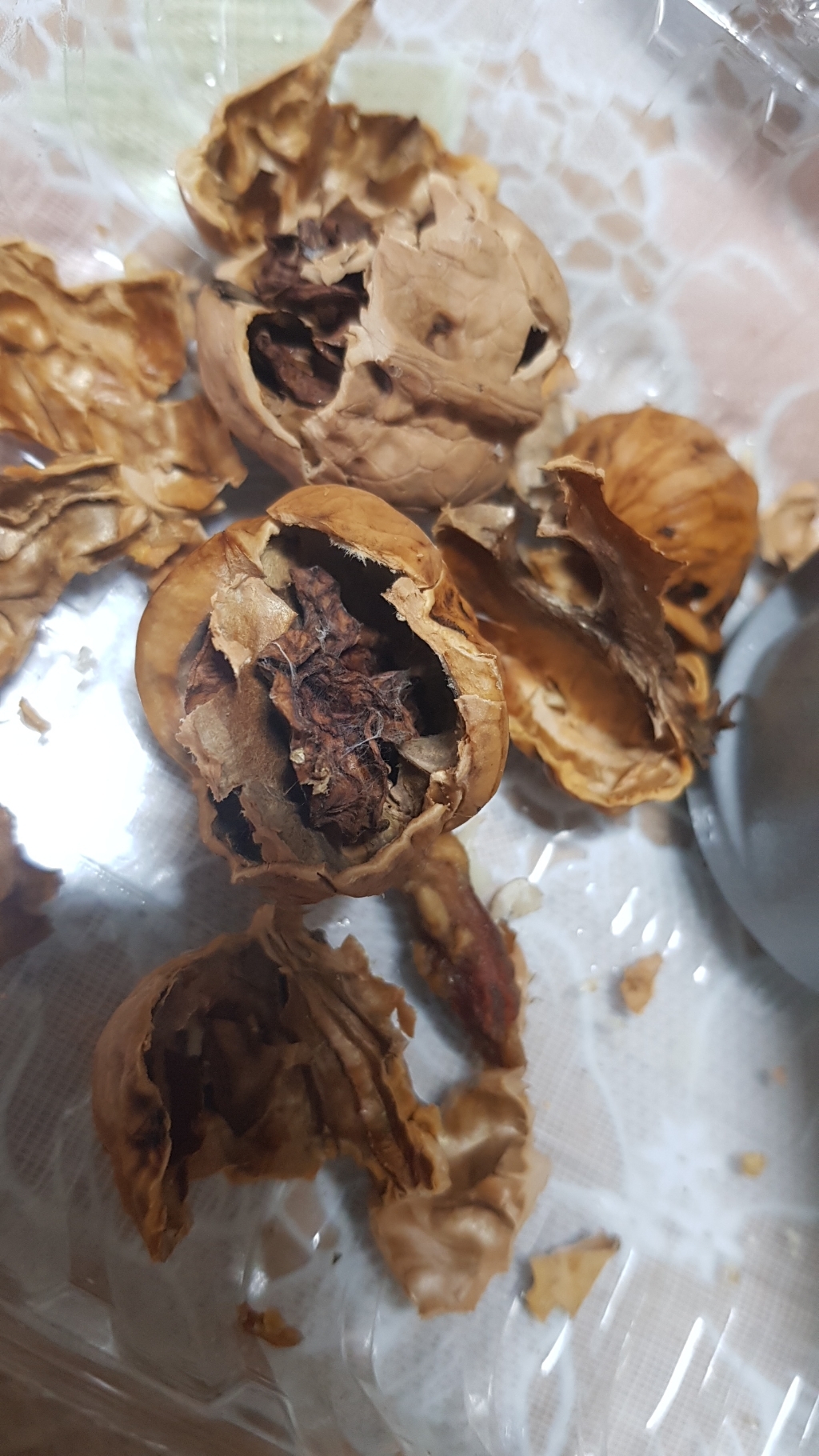 [행복한농부]영동 김성환님의 통두