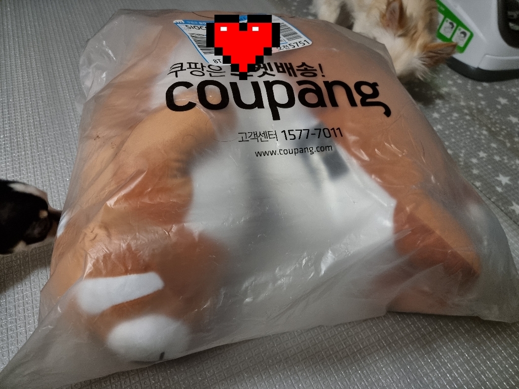 이몽 찹쌀 인형 바디필로우 랫서 리뷰후기