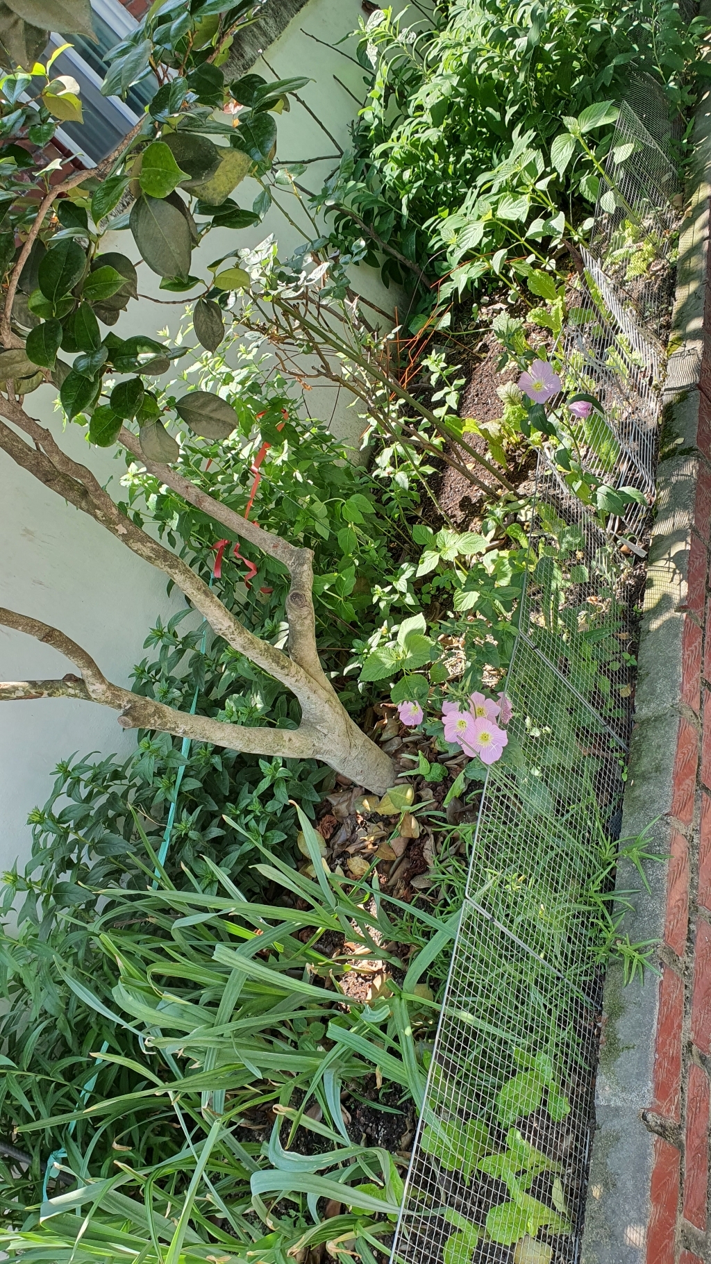 조립식 울타리