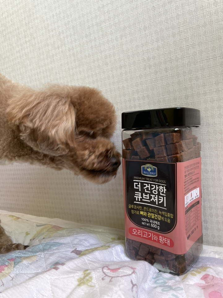 벨버드 더 건강한 큐브져키 강아지간식