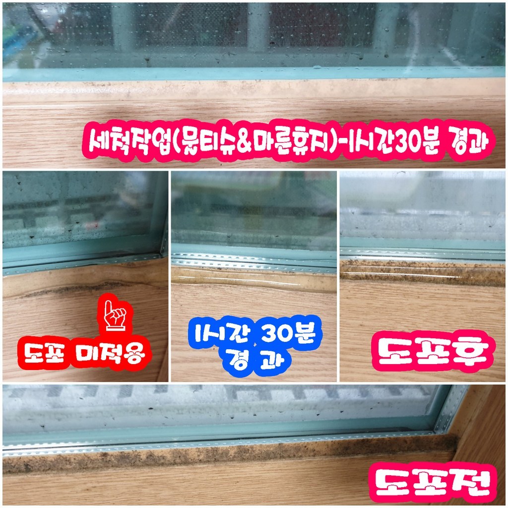 탐사 곰팡이 제거제