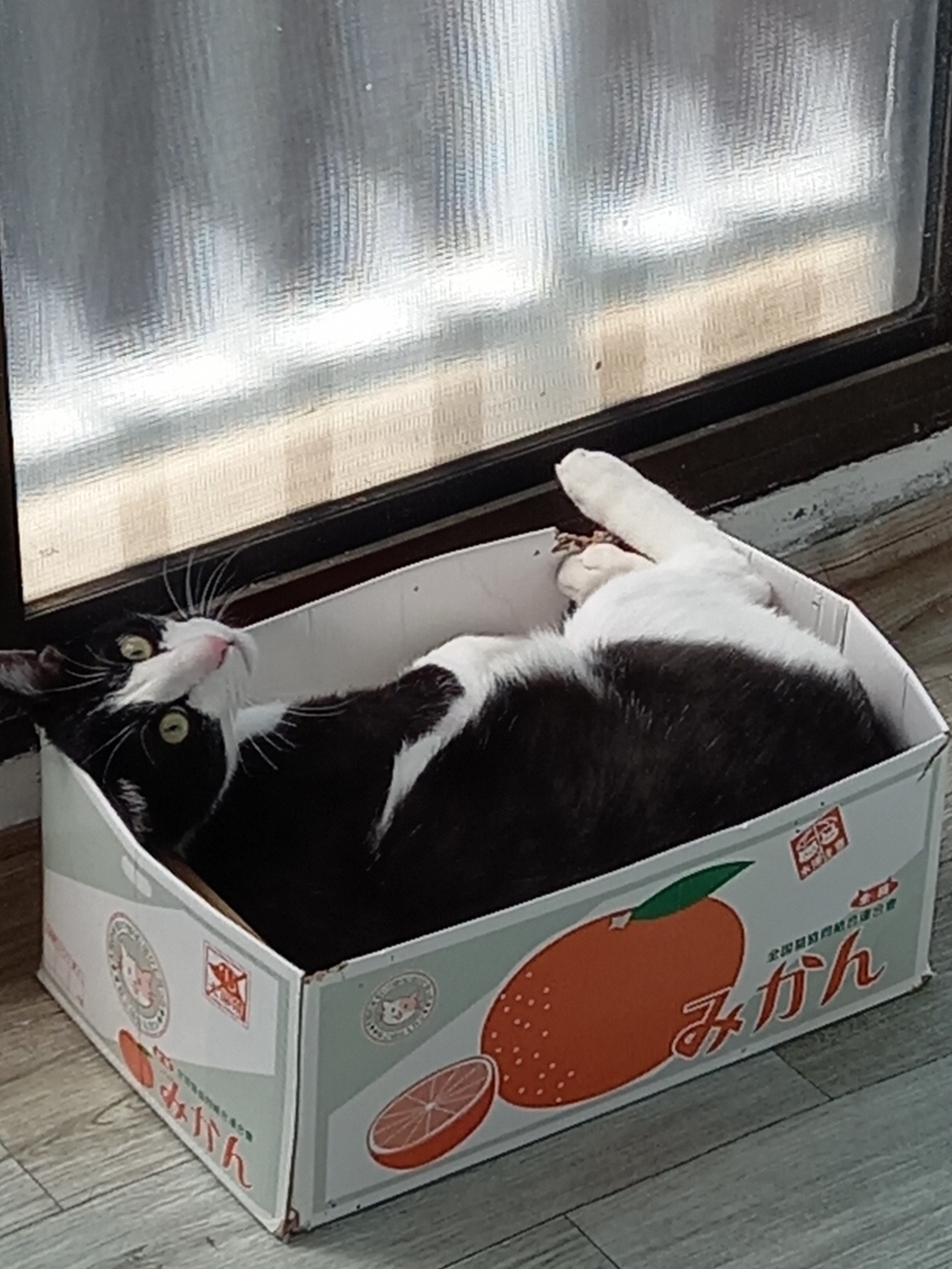 청소슬리퍼 걸레슬리퍼 극세사 층간소음 발걸레 거실화