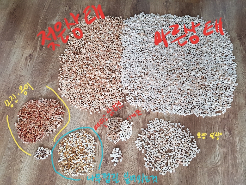 편백나무