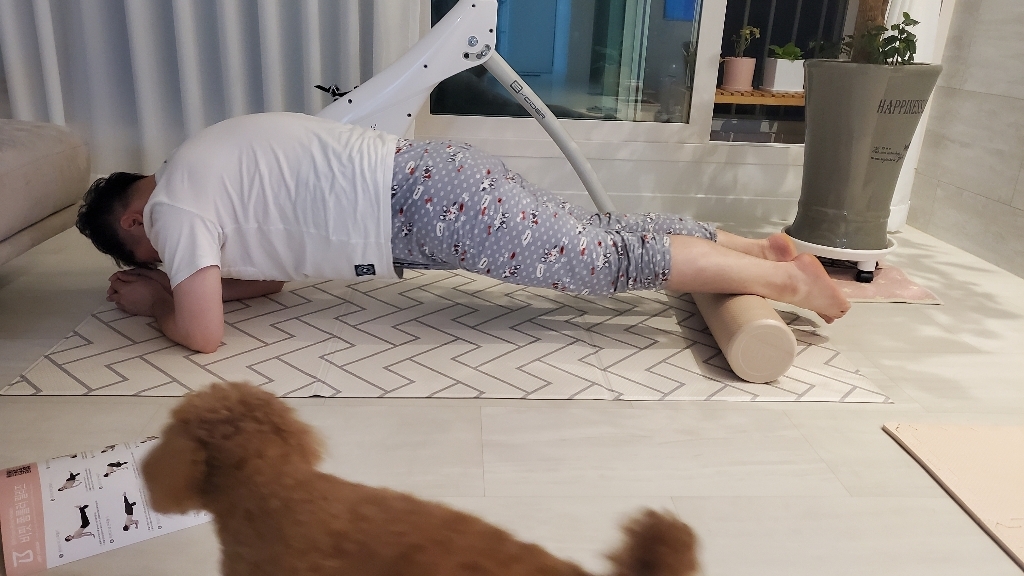 비핏 코르크 EVA E 폼러 필라테스 스트레칭