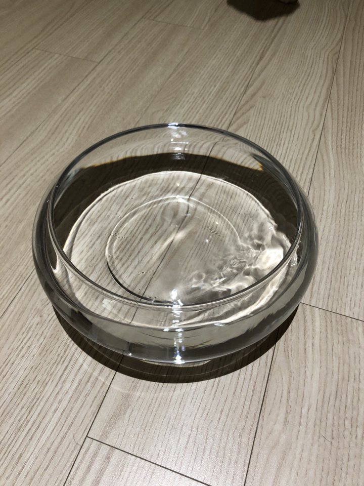 글라스코 수반 리뷰 후기