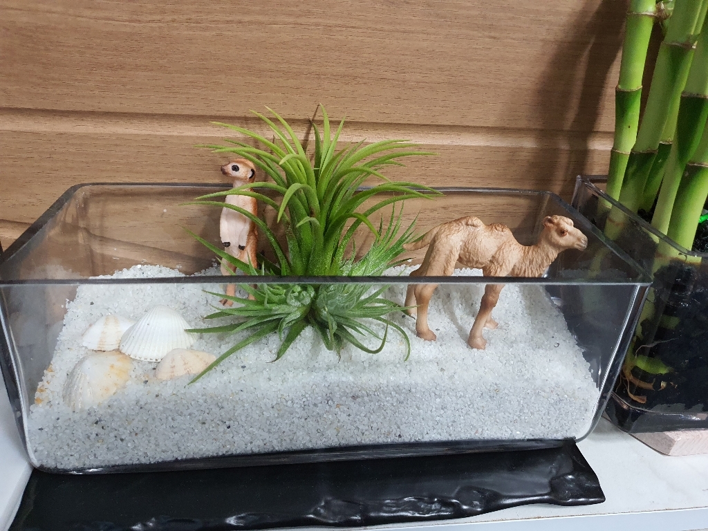 백사 흰모래 하얀모래 조경용 테라리움 수족관 여과재 플랜트 가드닝 원예 식물 화분마감재 재료 화분마감재 장식 놀이터모래 화분장식 분재용
