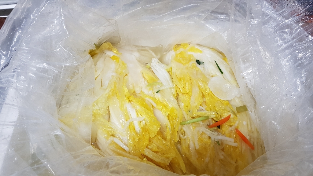 마을식품 백김치 HACCP 국산배추 식자재 대용량 업소용 생김치 리뷰후기