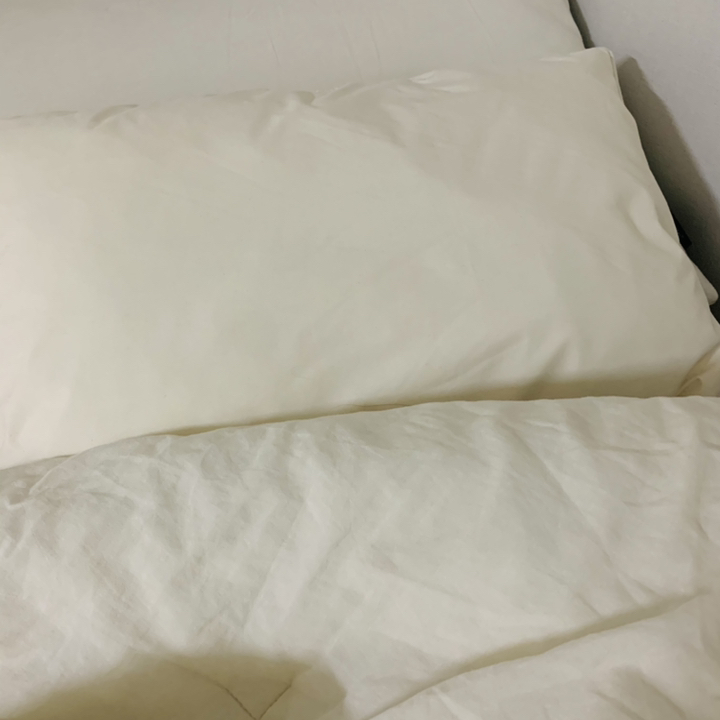 데이메이드 W 워터가드 방수 베개커버