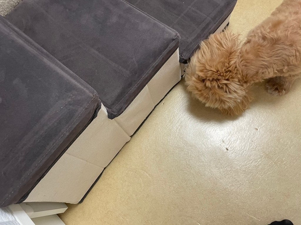요기쏘 반려동물 수납형 3단 계단