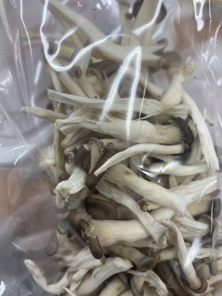 게하식당 버섯샤브칼국수얼큰버섯칼국수 버섯샤브칼국수 칼국수밀키트