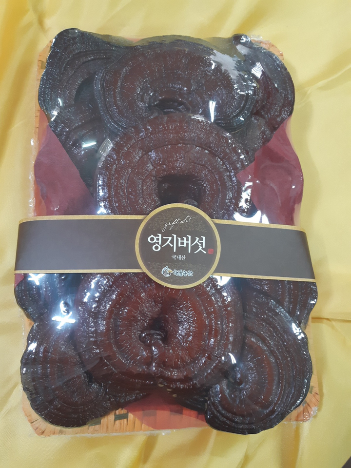 채울농산 국산 영지버섯
