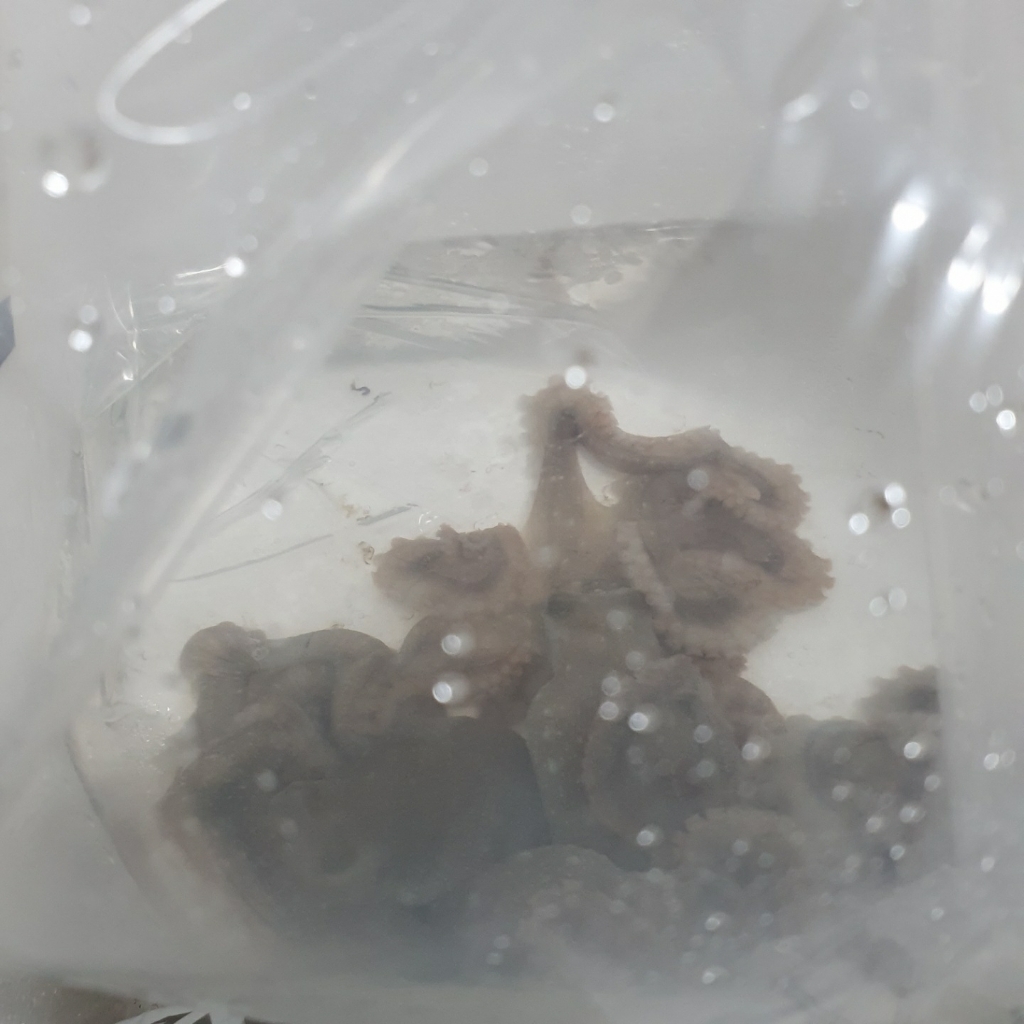 생선톡톡 목포낙지 산낙지 1마리 110