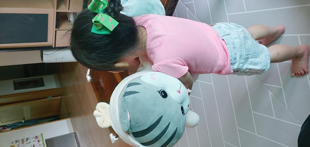 클로즈유닉 빵실냥이 애착인형 대형 고양이 모찌 인형