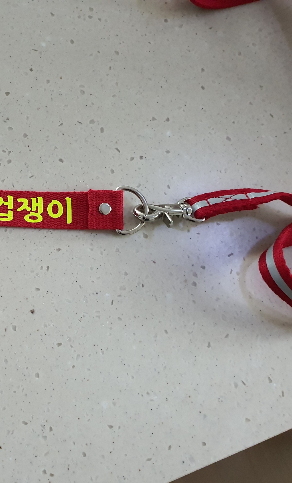 아띠지기 반사형 반려동물 쓰리엠 리드줄