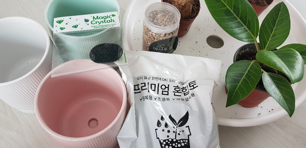 삼유리 원형 줄무늬 파스텔 간편 분갈이 SH9126 리뷰후기