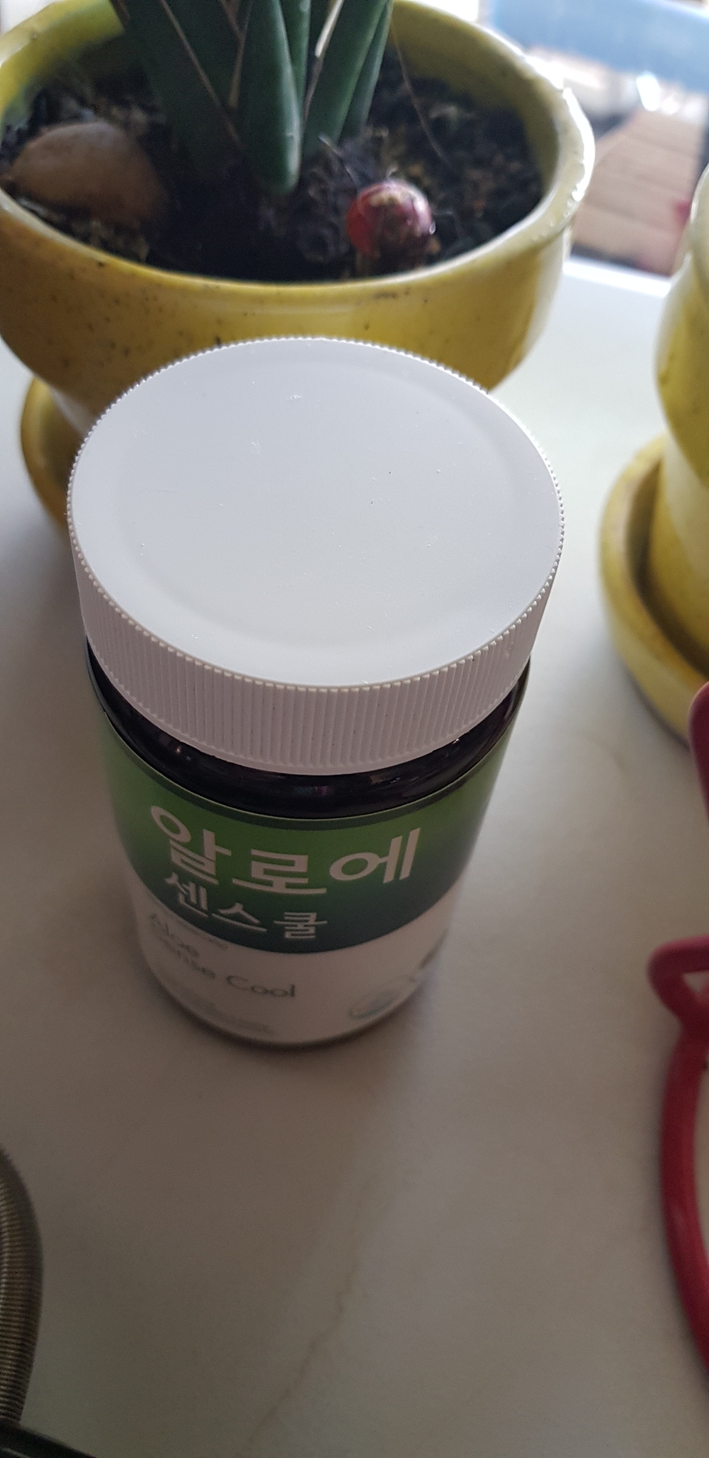 [녹십초] 알로에 센스쿨 360정x1병